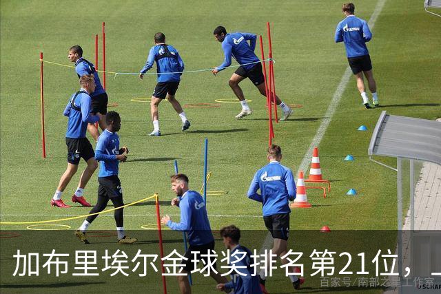 加布里埃尔金球奖排名第21位，上赛季英超17次零封为后卫最多